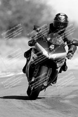 media/Nov-11-2023-SoCal Trackdays (Sat) [[efd63766ff]]/Track Exit (1130am until Lunch)/